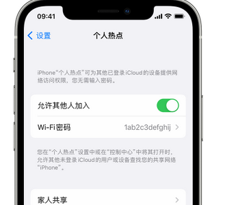 永济apple服务站点分享iPhone上个人热点丢失了怎么办 