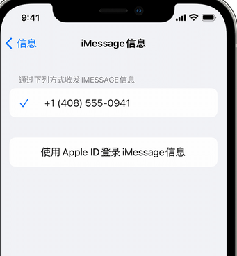 永济apple维修iPhone上无法正常发送iMessage信息 