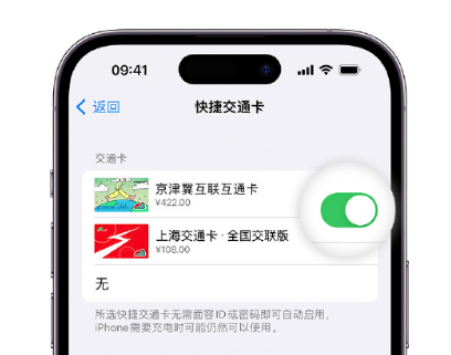 永济apple维修点分享iPhone上更换Apple Pay快捷交通卡手绘卡面 