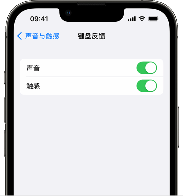 永济苹果14维修店分享如何在 iPhone 14 机型中使用触感键盘 