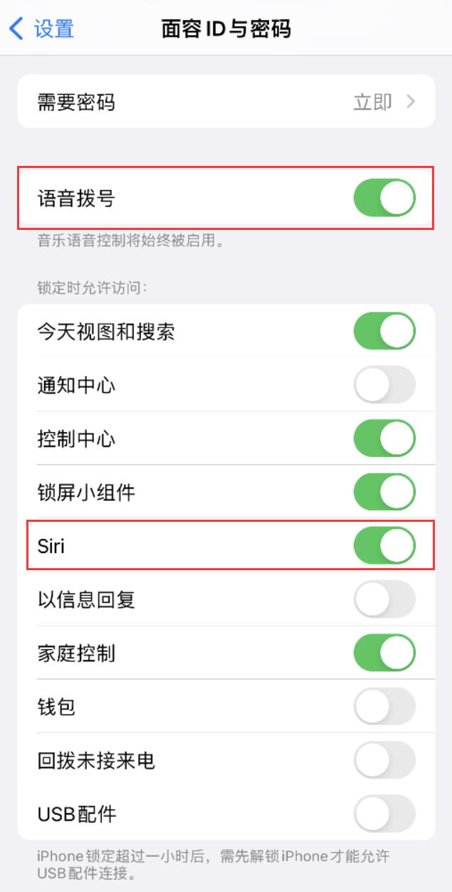 永济苹果维修网点分享不解锁 iPhone 的情况下通过 Siri 拨打电话的方法 