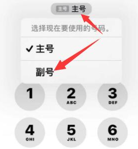 永济苹果14维修店分享iPhone 14 Pro Max使用副卡打电话的方法 