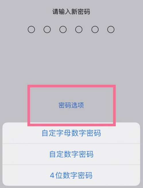 永济苹果14维修分享iPhone 14plus设置密码的方法 