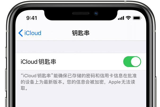 永济苹果手机维修分享在 iPhone 上开启 iCloud 钥匙串之后会储存哪些信息 