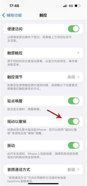 永济苹果手机维修分享iPhone手机如何设置摇一摇删除文字 