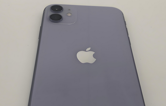 永济苹果11系统维修分享iPhone11手机系统崩溃无法开机如何解决 